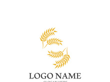 Wheat logo vector icon illustration design