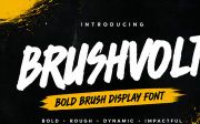 Brushvolt