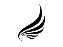 Black wing falcon bird logo
