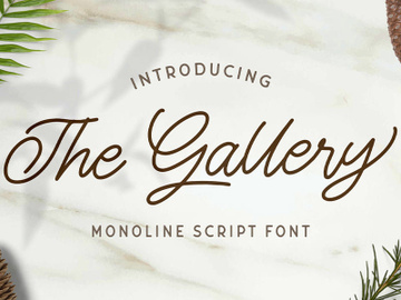 The Gallery - Monoline Script Font preview picture