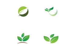 nature leaf logo