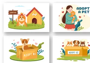 15 Pet Adopt Illustration