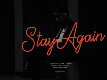 Stay Again | Monoline Script Font preview picture