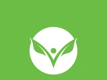 Leaf logo green nature vector image