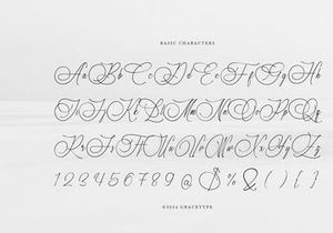 Marseliyon | Elegant Signature Script