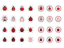 ladybug Animal Logo Icon symbol vector