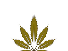 Mariuhana leaf symbol, marijuana or hemp icon, cannabis medical sign, weed drug vector illustration