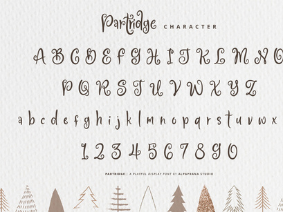 Partridge - Playful Font