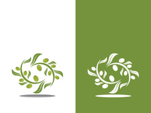 Extra virgin olive oil logo icon design vector illustration