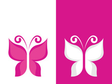 Butterfly logo icon vector design illustration