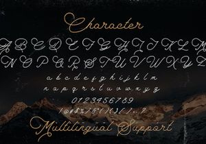 The Saily - Monoline Retro Script Font