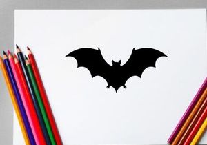 Silhouette of a Bat Flying with Spread Wings in Dark Night Scene