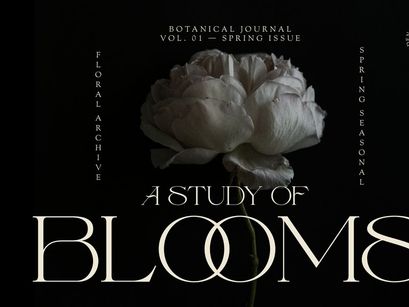 Fauden | Modern Display Serif
