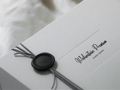 Moonlit Muse | Handwritten Script Font