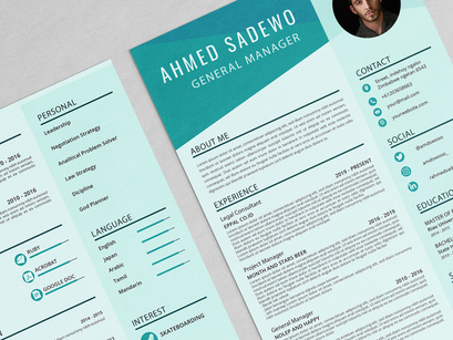 Professional Resume Sadewo