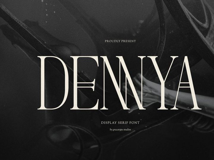 Dennya | Display Serif Font
