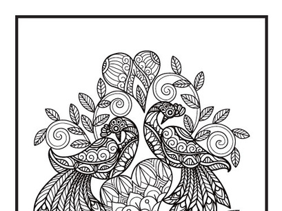 6 Bird Coloring Book Pages KDP Interior.