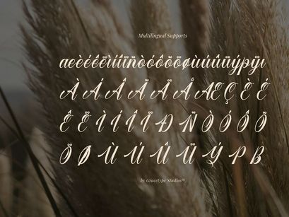 Larfioda | Elegant Script Font
