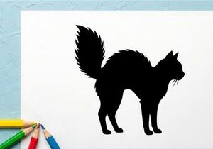 Silhouette einer Katze mit buschigem Schwanz in Schwarz auf weißem Hintergrund