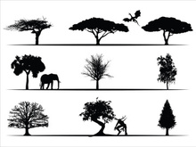 Trees Silhouettes Collection