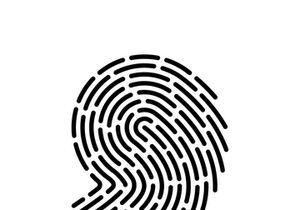 Digital fingerprint vector illustration logo icon