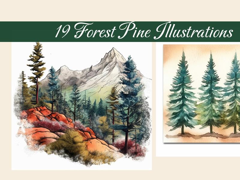 Forest Pine Painted Illustration