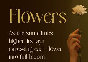 Bowtaris || ligature display serif
