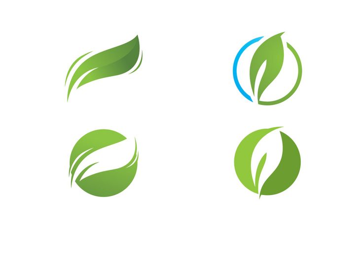 Green leaf logo  Nature icon design