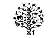 DNA Tree of Life mit vielfältigen Tier-Vektorgrafiken