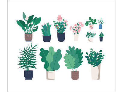 Plant illustrations bundle