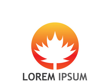 Maple leaf logo design with creative idea preview picture