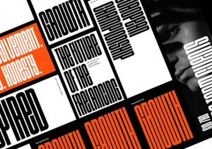 Growth - Sans Serif Display Font
