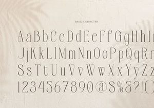 Orlevin | New Modern Serif