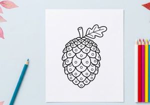 Pine cone line art drawing. Hand drawn botanical illustration of a conifer seed.