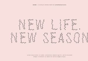 Shine - Decorative Display Font
