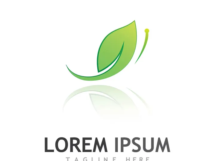 Natural green leaf logo design.