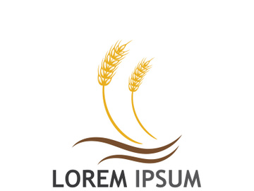 Organic wheat farm logo template. preview picture