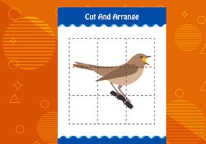 10 Pages Cut and arrange with a bird worksheet for kids. Educational game for children