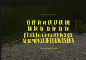 Pitolia | Decorative Display Serif