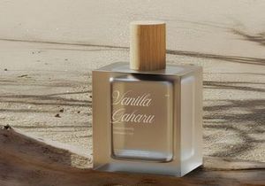 Sofiya Wiyona | Classic Elegant Script