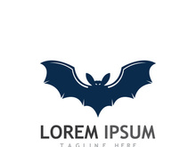 creative night bat silhouette logo.