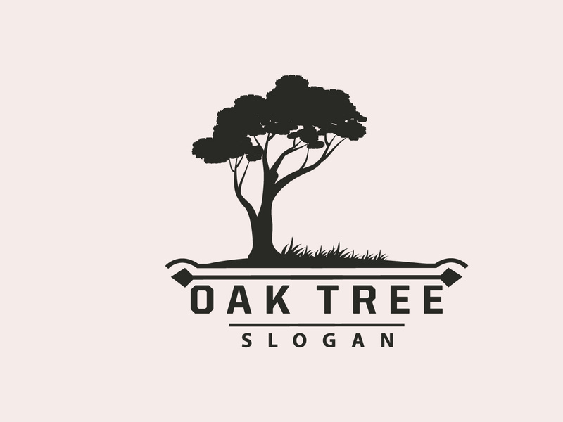 Oak Tree Logo, Nature Tree Plant Vector, Minimalist Simple Design