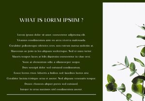 Qitello Ligature Serif Typeface
