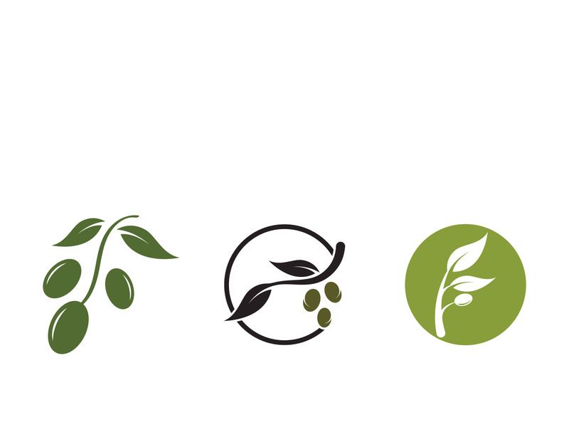 Branched olive fruit logo with creative idea.