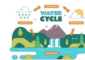 10 Water Cycle Illustration