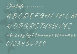 Charlotte - Brush Calligraphy Font