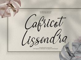 Cafricot Lissendra | Script Handwritten preview picture
