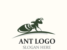 Ant logo design silhouette. Isolated animal ants on background design template vector
