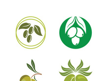 olive icon vector illustration design template