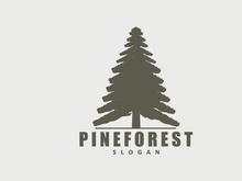 Forest Logo, Vector Forest Wood With Pine Trees Design